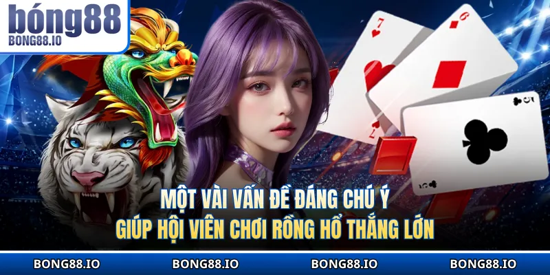 Một vài vấn đề đáng chú ý giúp hội viên chơi Rồng Hổ thắng lớn
